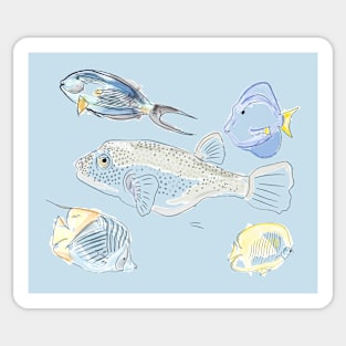 Red Sea Fishes Sticker